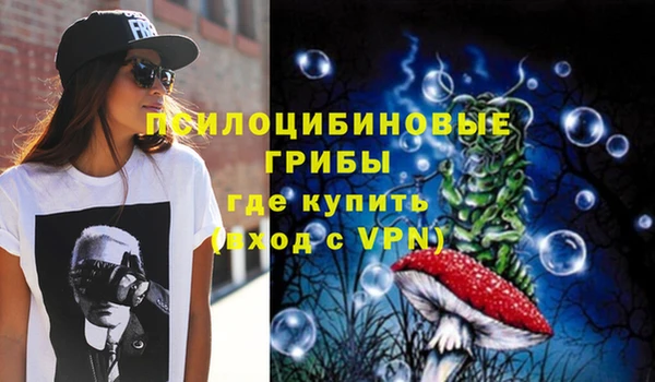 прущие крисы Армянск