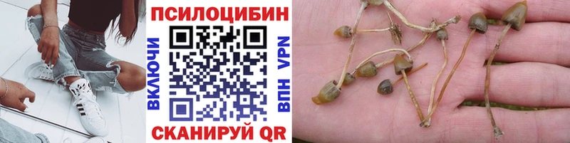 Галлюциногенные грибы мицелий  закладки  Нарьян-Мар 