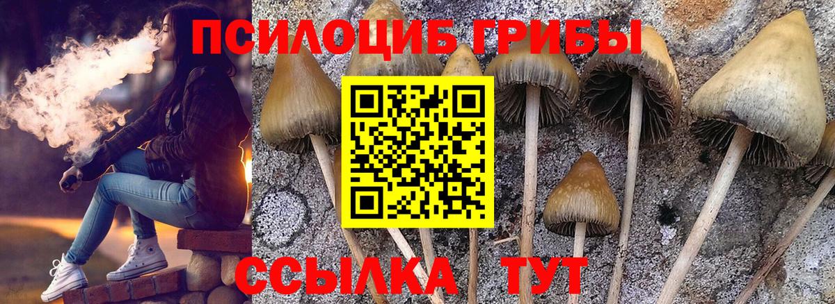 Псилоцибиновые грибы MAGIC MUSHROOMS Нарьян-Мар