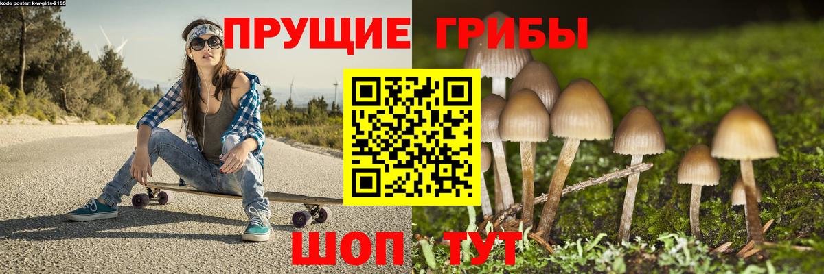 купить   Вход с VPN  Псилоцибиновые грибы ЛСД  Нарьян-Мар  Галлюциногенные грибы Psilocybe 